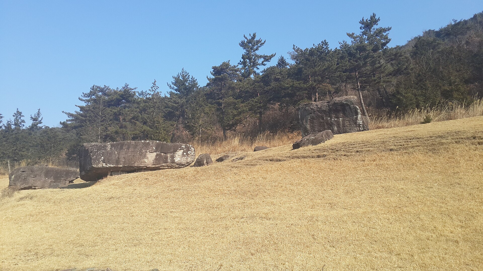 화순 고인돌 유적
